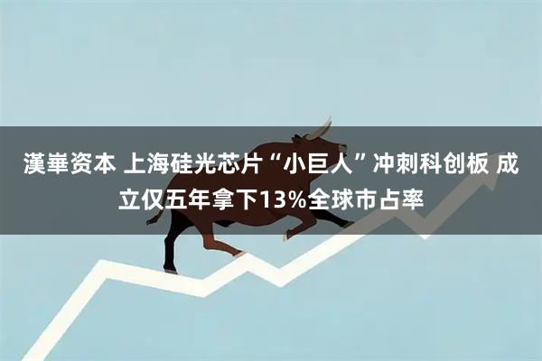 漢崋资本 上海硅光芯片“小巨人”冲刺科创板 成立仅五年拿下13%全球市占率