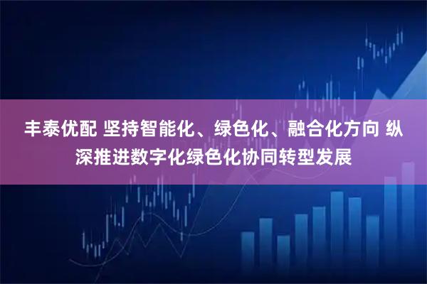 丰泰优配 坚持智能化、绿色化、融合化方向 纵深推进数字化绿色化协同转型发展
